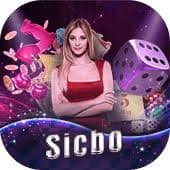 5555bet com